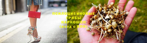 ГАЛЛЮЦИНОГЕННЫЕ ГРИБЫ Беломорск